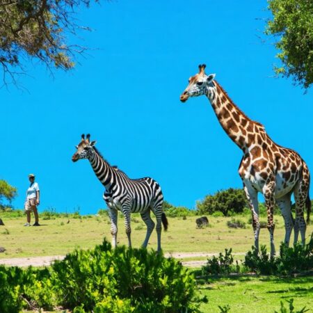 El Safari Park Rancagua está abierto – Chile